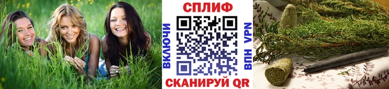 Купить наркотики Светогорск Бошки Шишки  Codein  ГАШ  МЕФ  КОКАИН  АМФ 