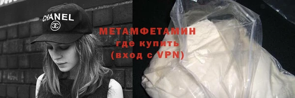 прущие грибы Сосновоборск