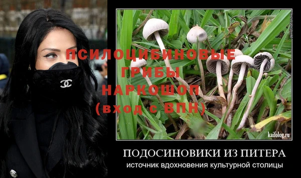мет Белокуриха