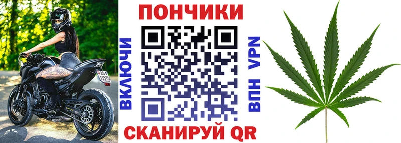 KRAKEN как зайти  Светогорск  МАРИХУАНА семена 